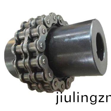 滾子(zi)鏈聯(lian)軸(zhou)器(qi)
